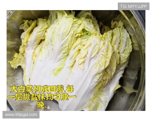 探索白菜专区：新鲜美味与健康食谱的完美结合